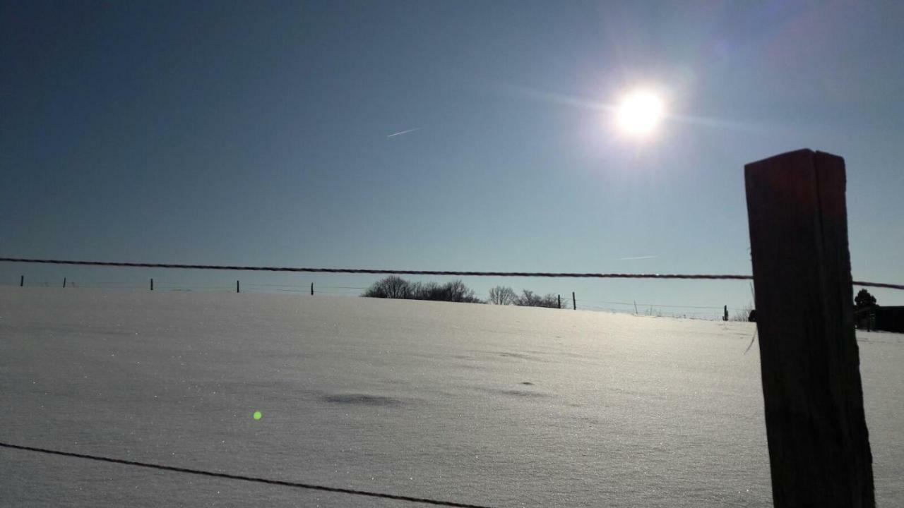 Ferienhaus " Silly " Am Schoenen Listersee Meinerzhagen Eksteriør billede